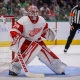 nhl picks Alex Nedeljkovic Detroit Red Wings predictions best bet odds