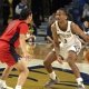 college basketball picks Davian Brown Montana State Bobcats predictions best bet odds