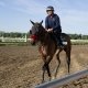 Preakness Stakes post position analysis