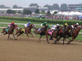Kentucky derby picks