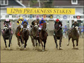 Preakness Stakes