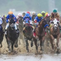 Kentucky Derby betting trends