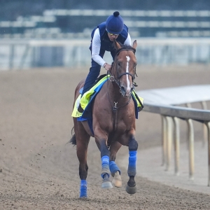 Kentucky Derby post positions analysis