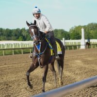 Preakness Stakes Long Shots