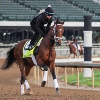 Renegade odds to win the Kentucky Derby