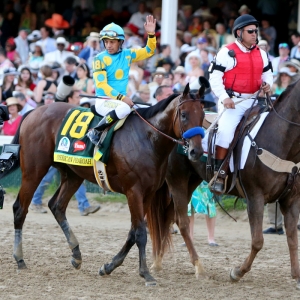 American Pharoah, racehorse