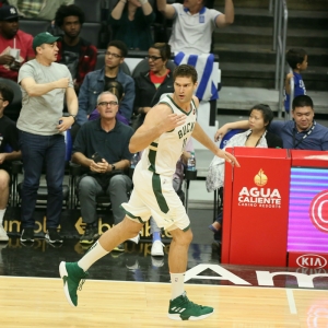 brook lopez milwaukee bucks