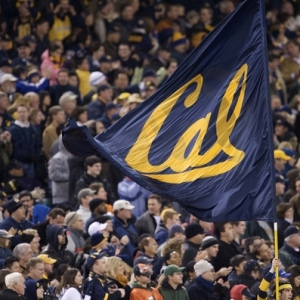 Cal Golden Bears Fans.