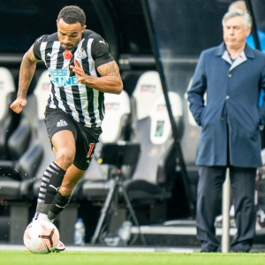 Callum Wilson Newcastle United