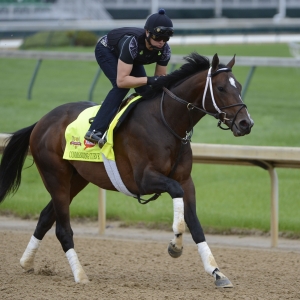 Commandment Odds to Win the Kentucky Derby with Expert Predictions