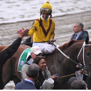 Curlin, race horse