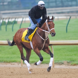 Kentucky Derby entrant Done Talking