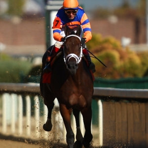 Jockey John Valezquez (7) rides Uncle Mo