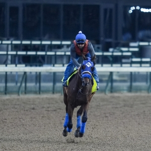 2026 Kentucky Derby Best Bets With 500 Dollar Bankroll Expert Predictions