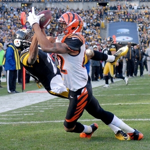 Cincinnati Bengals wide receiver Marvin Jones