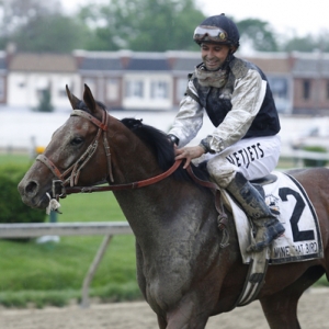 Mine That Bird could get a Horse of the Year award if he wins the Belmont Stakes.