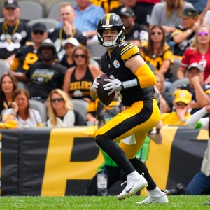 steelers vs browns favorite