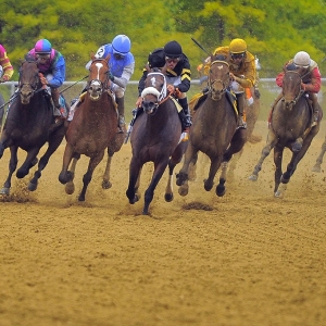 Oxbow, the 2013 Preakness Stakes Winner