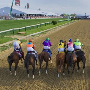2014 Preakness Stakes