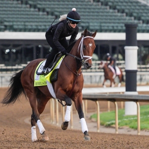 Renegade Odds to Win the Kentucky Derby with Expert Predictions
