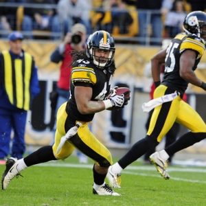 Pittsburgh Steelers safety Troy Polamalu