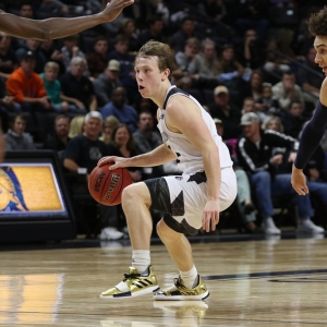 Wofford Terriers Storm Murphy