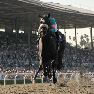 Zenyatta and jockey Mike Smith