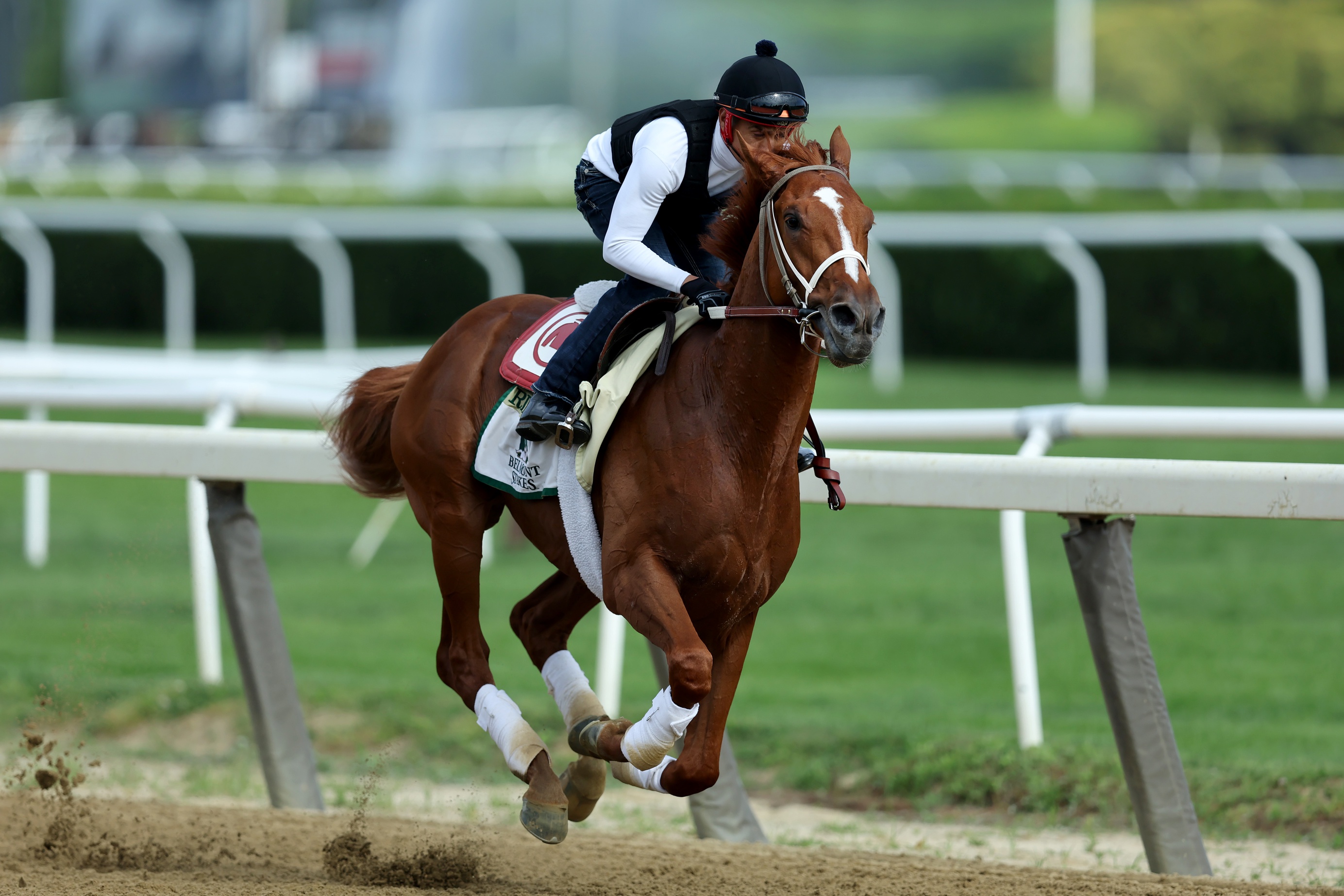 Belmont Stakes facts; Rich Strike