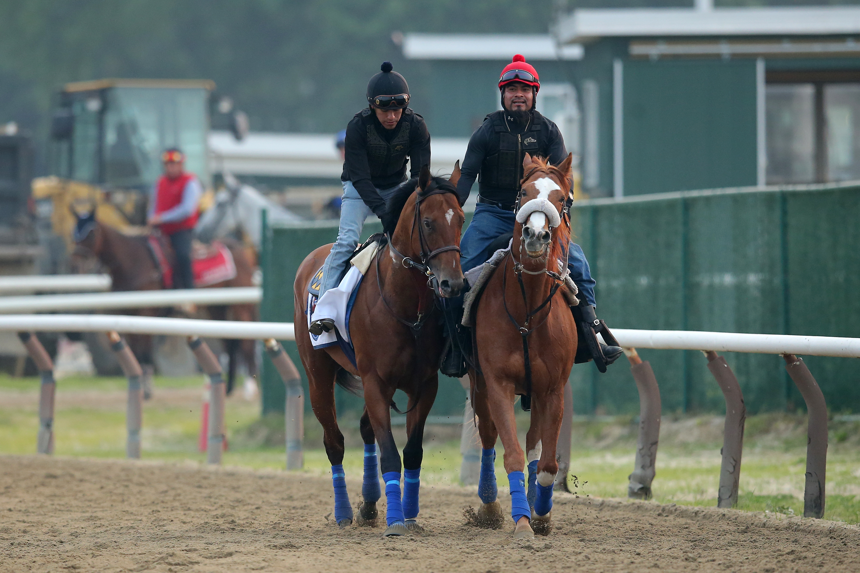 Belmont Stakes pace scenario and handicapping National Treasure