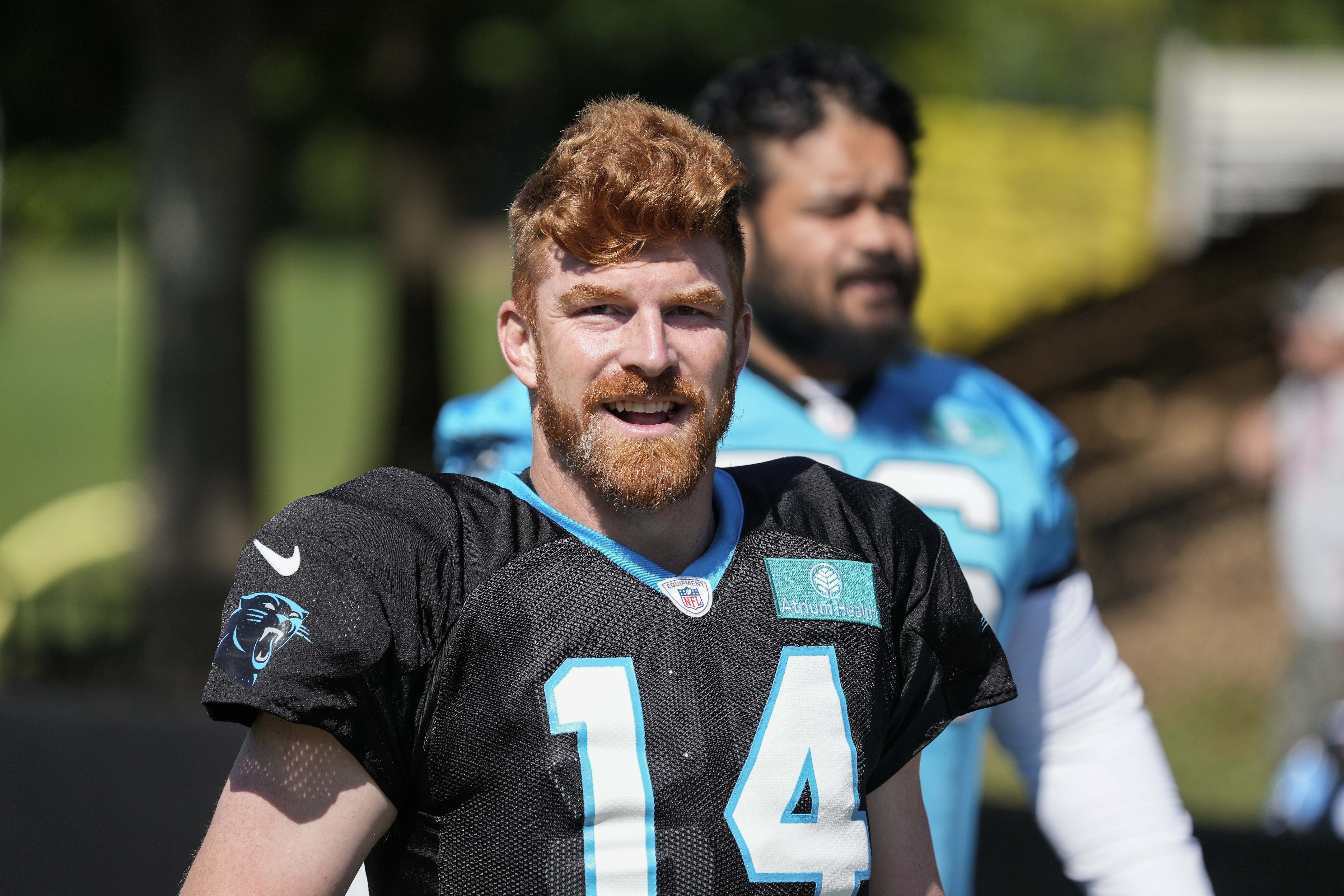 Carolina Panthers predictions Andy Dalton