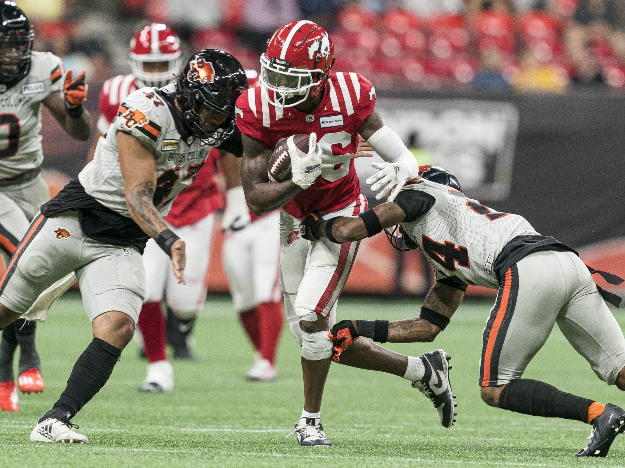 CFL Picks: Dedrick Mills Calgary Stampeders Predictions and Betting Odds