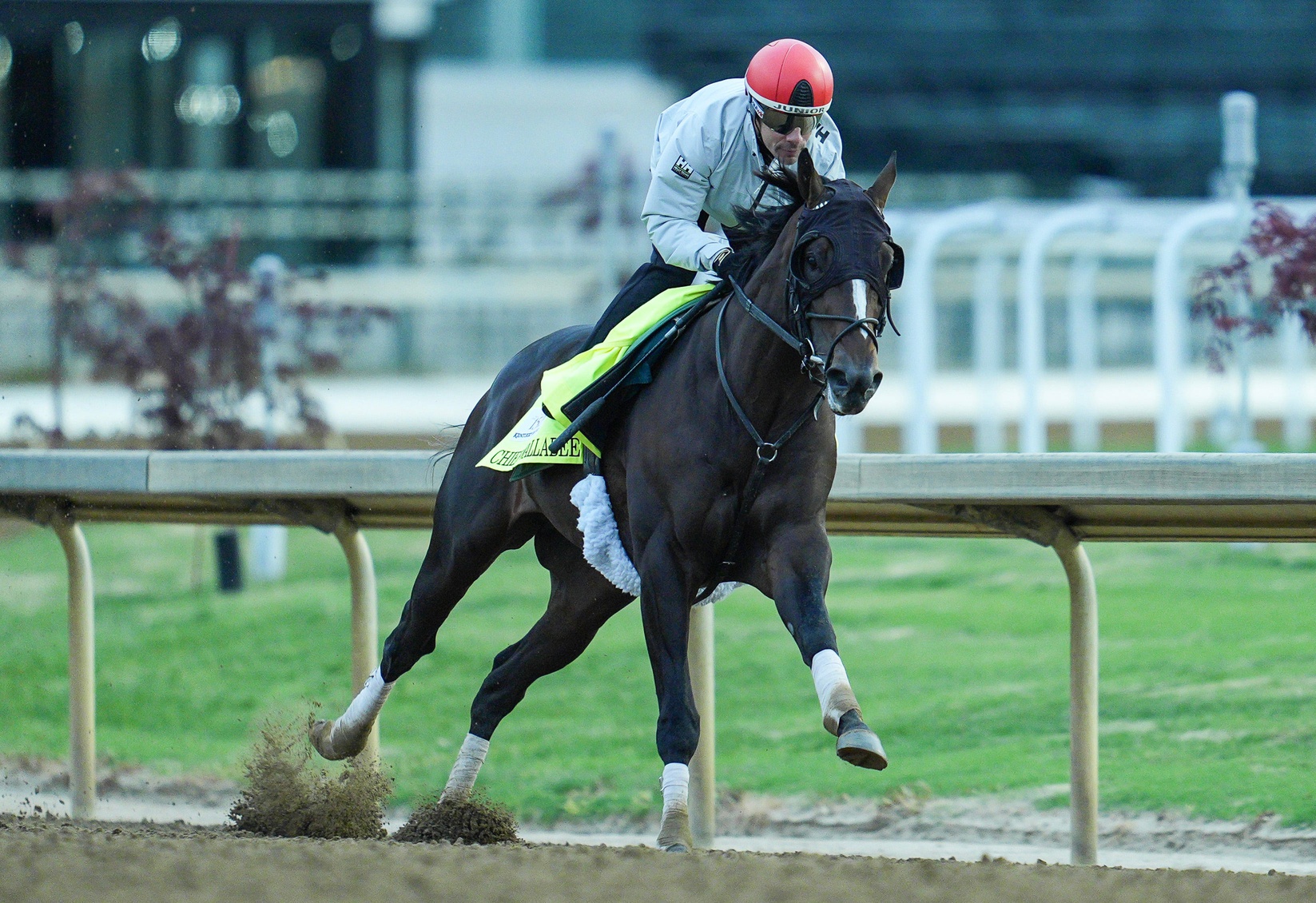 Chief Wallabee odds to win the Kentucky Derby