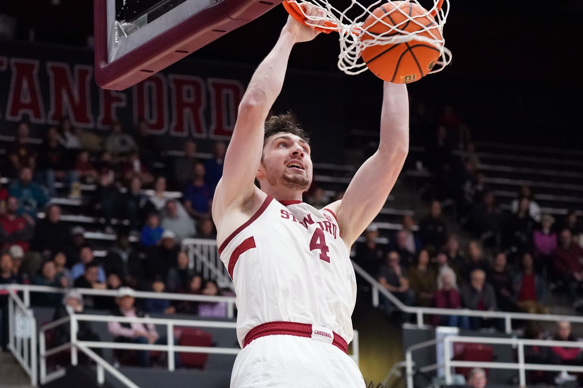 college basketball picks AJ Rohosy Stanford Cardinal predictions best bet odds