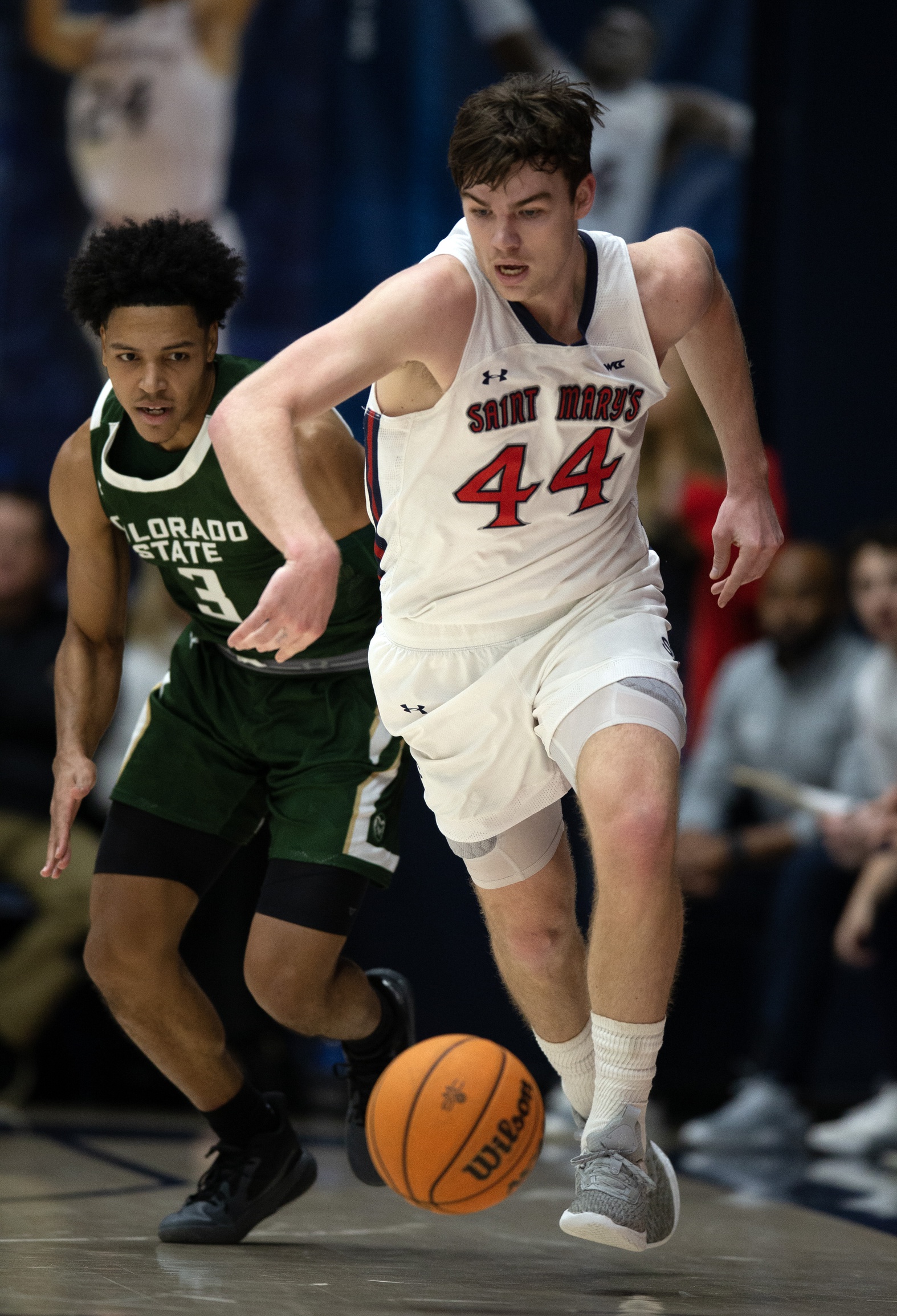college basketball picks Alex Ducas St. Mary's Gaels predictions best bet odds