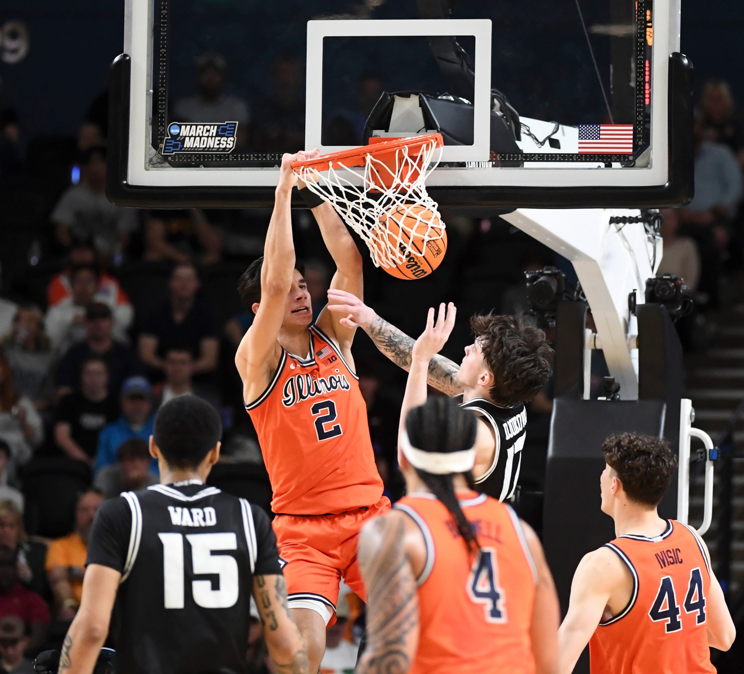 college basketball picks Andrej Stojakovic Illinois Fighting Illini predictions best bet odds