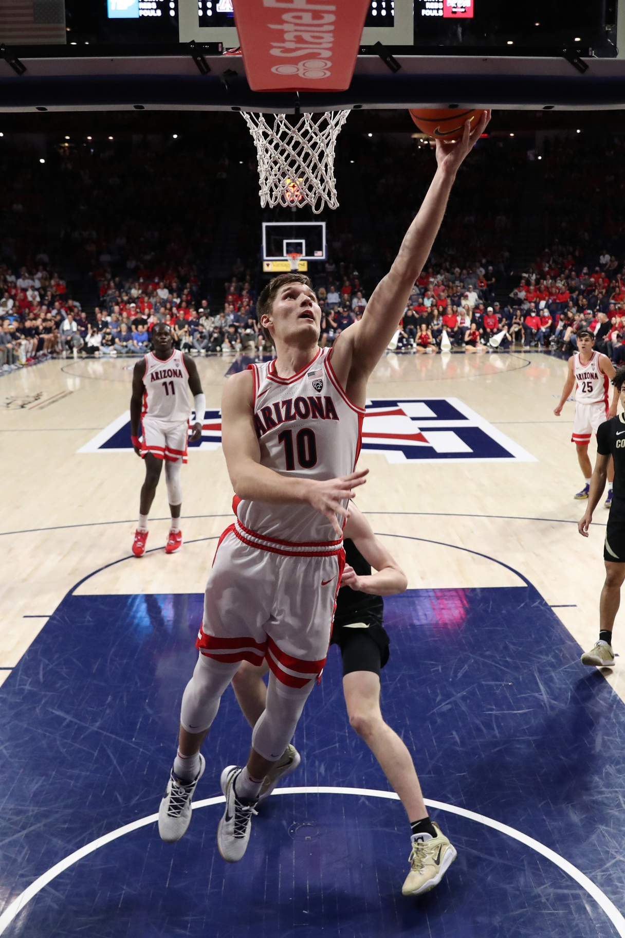 college basketball picks Azuolas Tubelis Arizona Wildcats predictions best bet odds