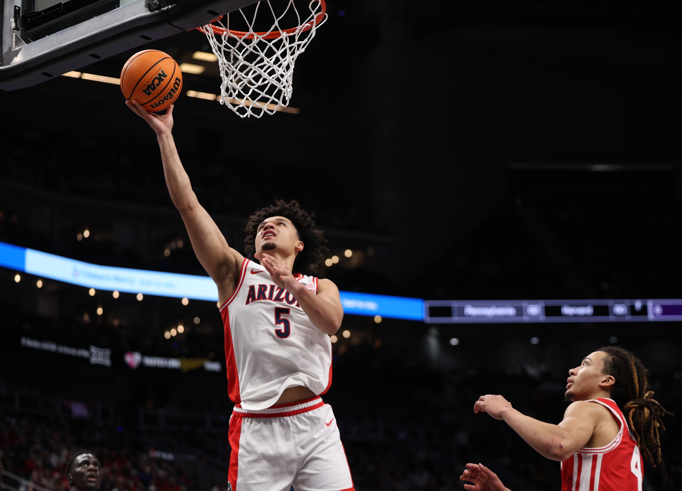 college basketball picks Brayden Burries Arizona Wildcats predictions best bet odds