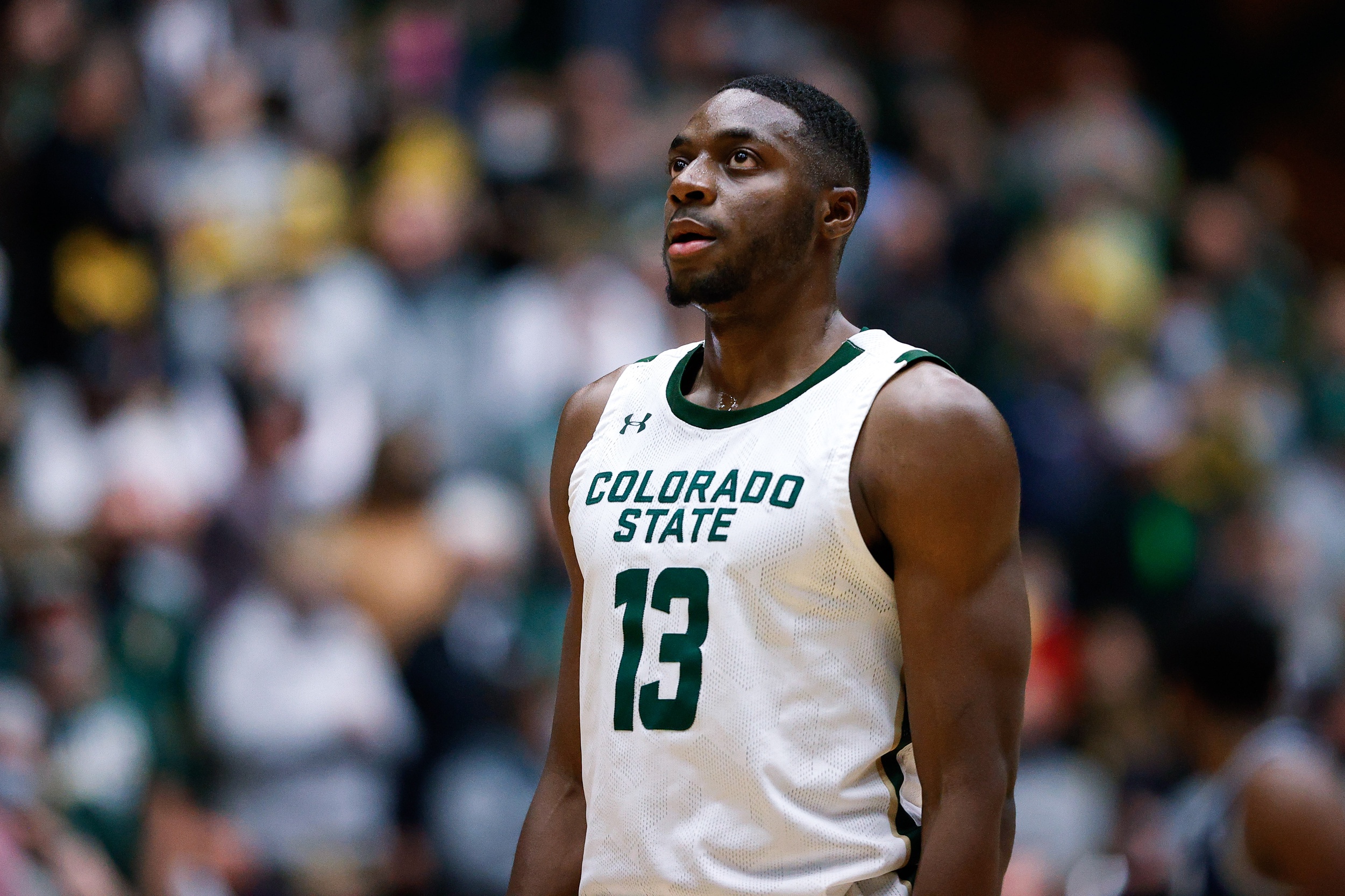 college basketball picks Chandler Jacobs Colorado State Rams predictions best bet odds