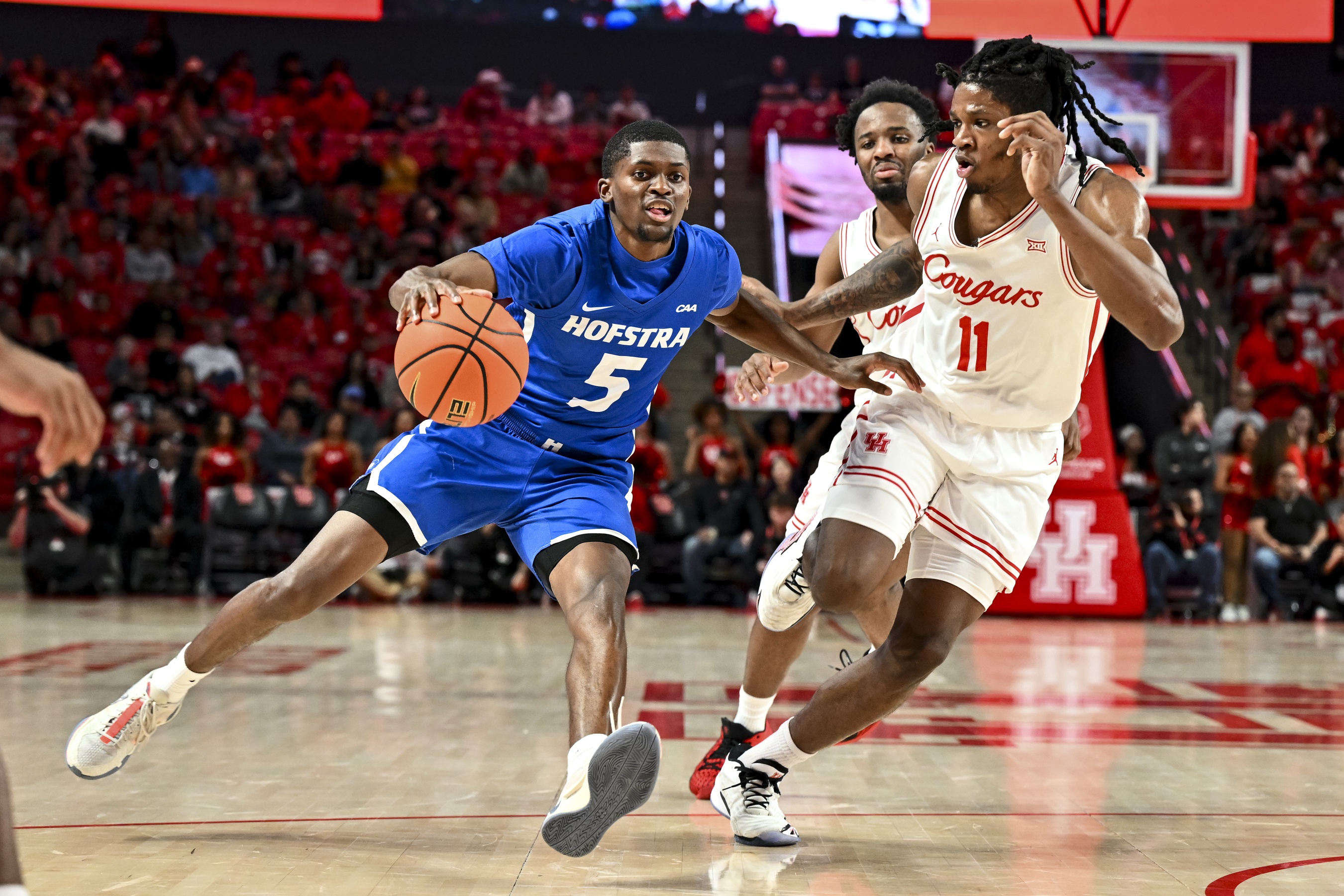 college basketball picks Cruz Davis Hofstra Pride predictions best bet odds