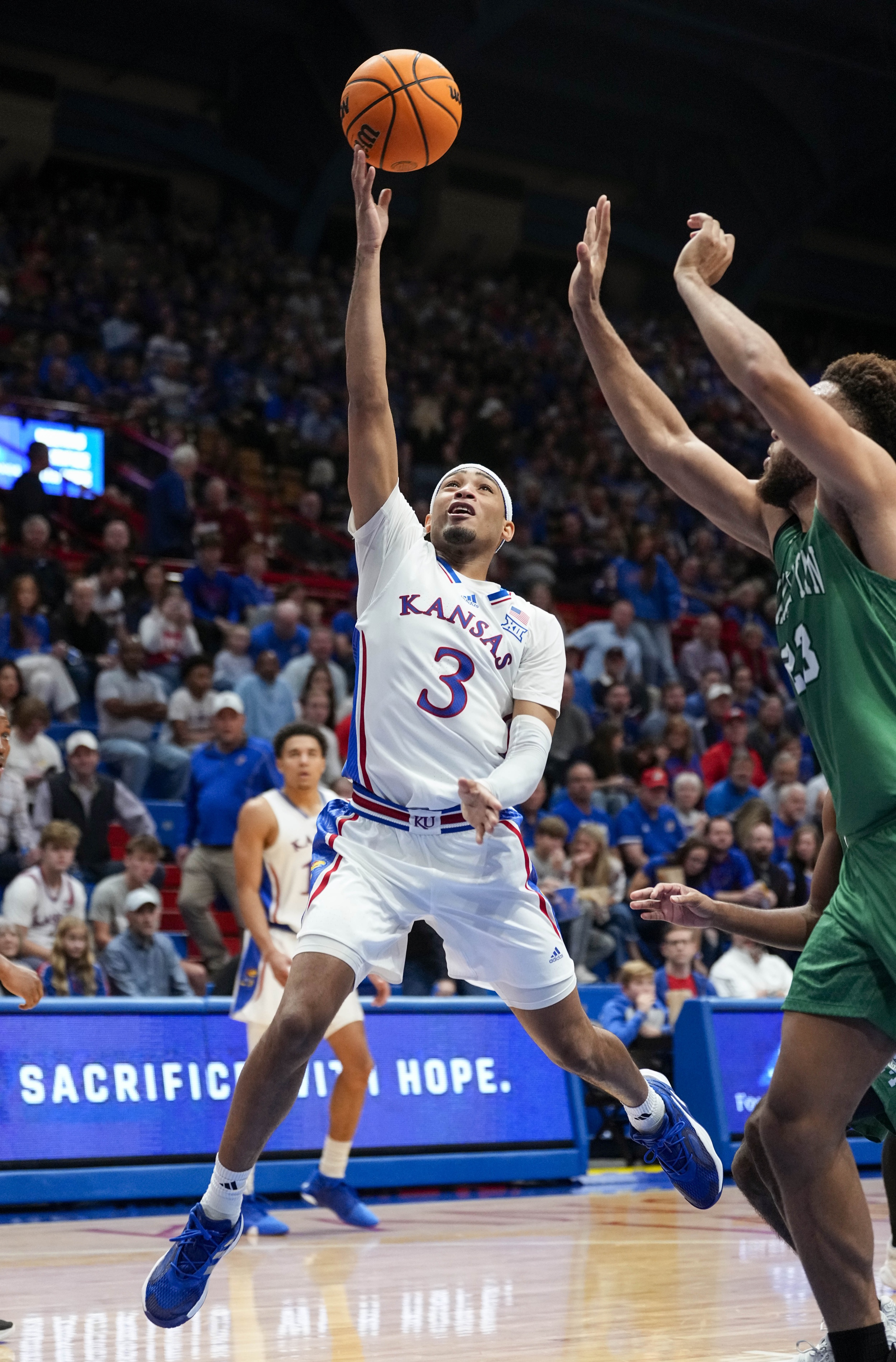 college basketball picks Dajuan Harris Kansas Jayhawks predictions best bet odds