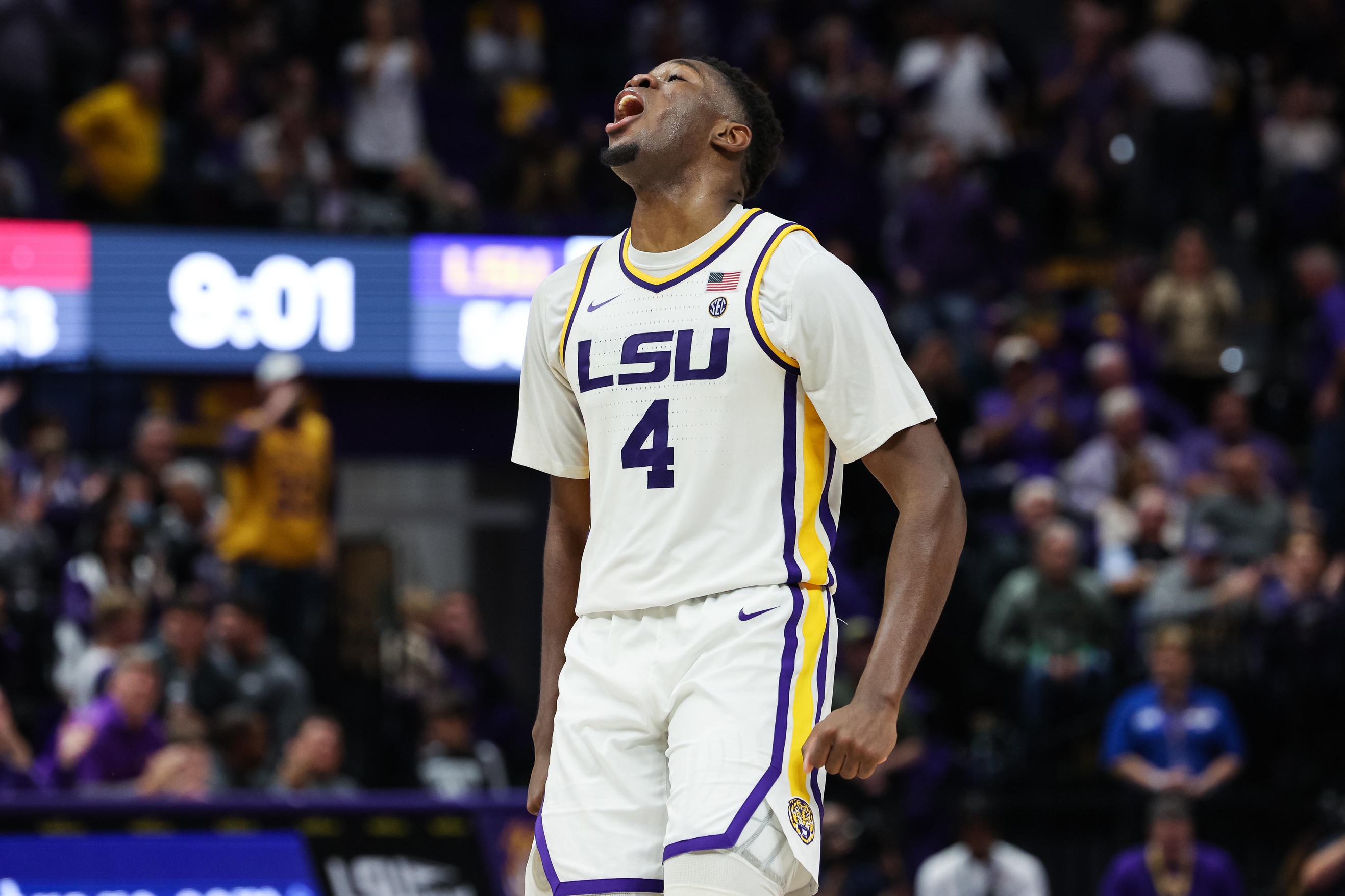 college basketball picks Darius Days LSU Tigers predictions best bet odds