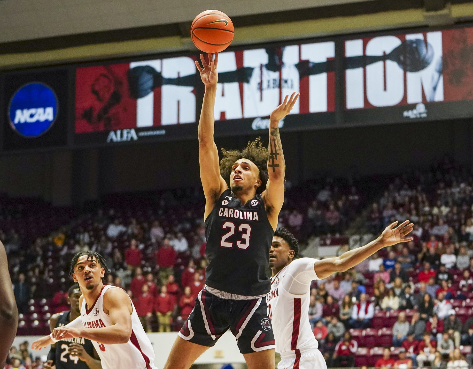 college basketball picks Devin Carter South Carolina Gamecocks predictions best bet odds