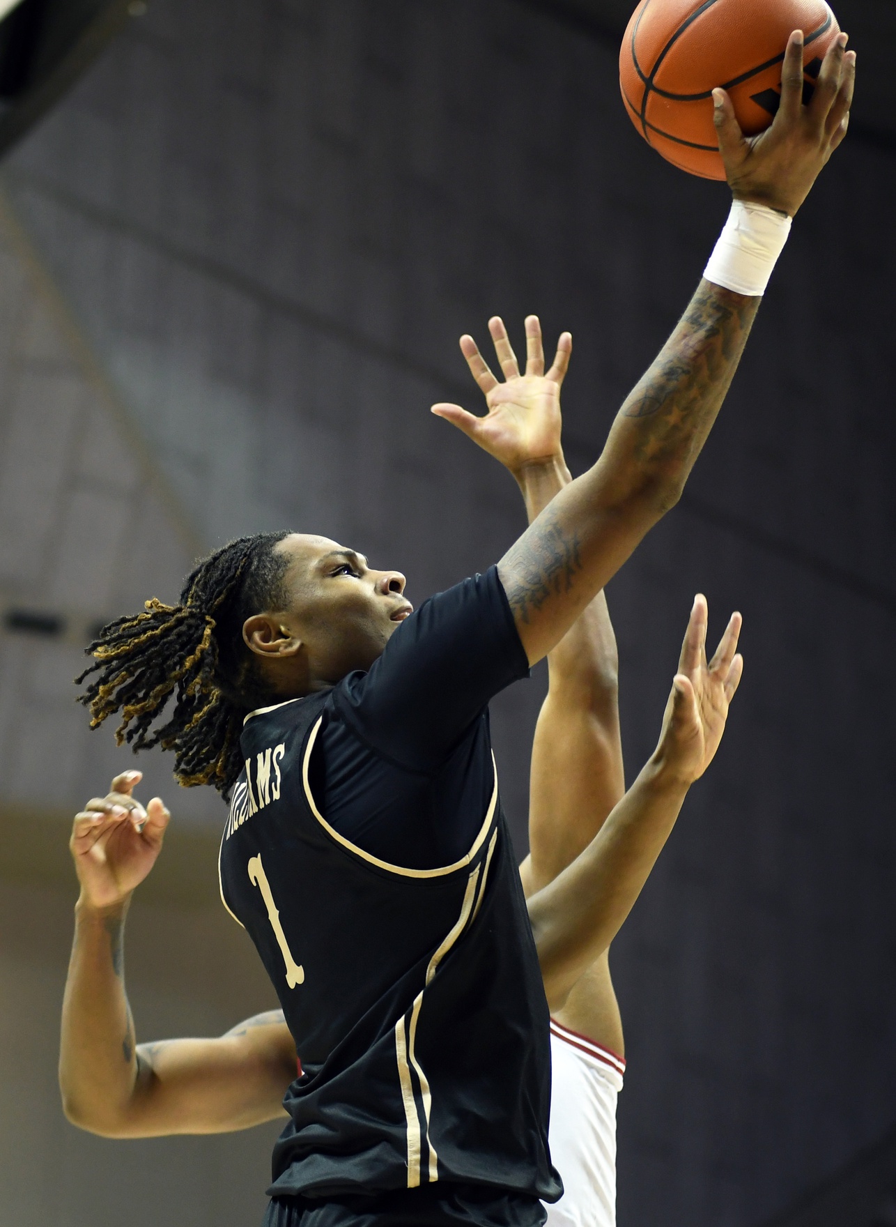 college basketball picks Dontrez Williams Lindenwood Lions predictions best bet odds