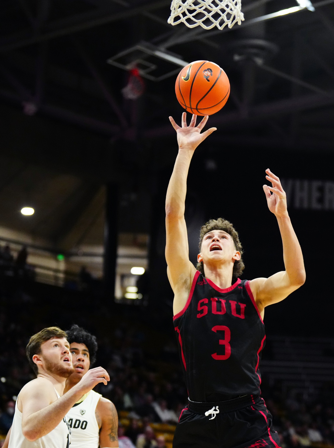 college basketball picks Drake Allen Southern Utah Thunderbirds predictions best bet odds