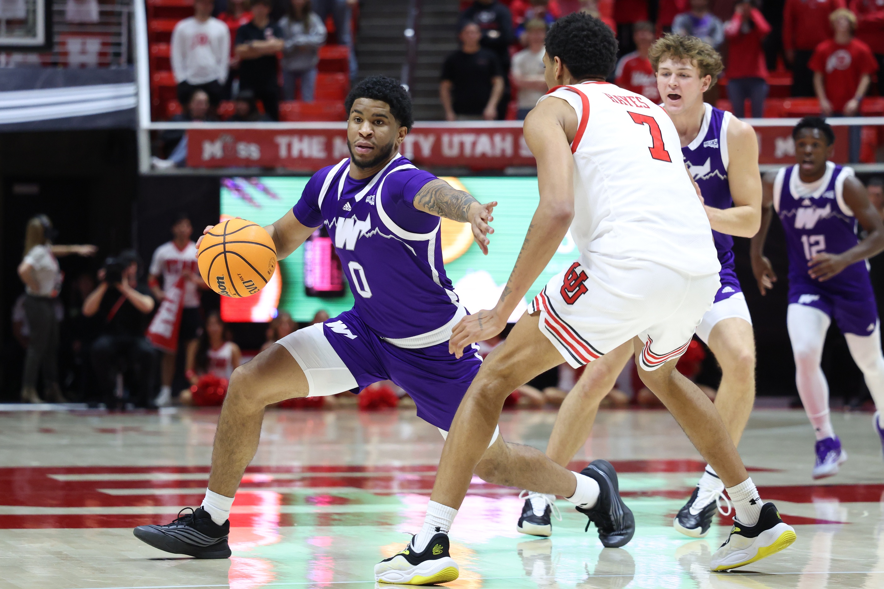 college basketball picks Edwin Suarez Jr Weber State Wildcats predictions best bet odds