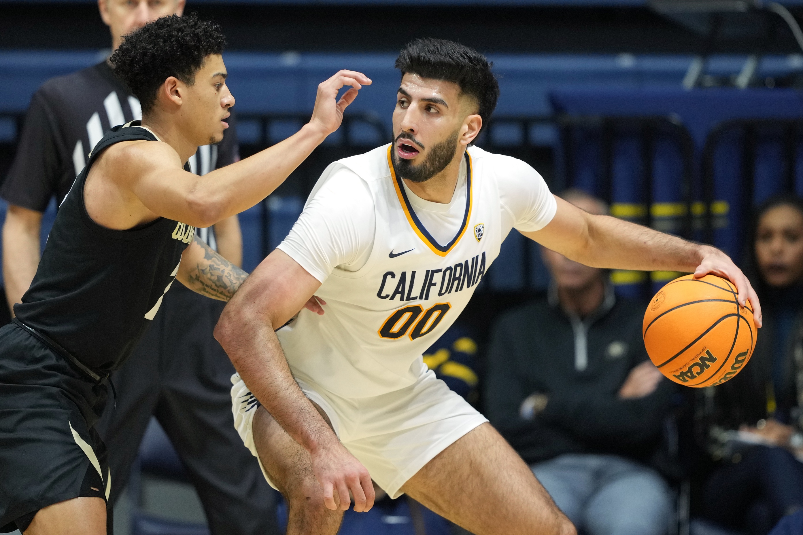 college basketball picks Fardaws Aimaq California Golden Bears predictions best bet odds
