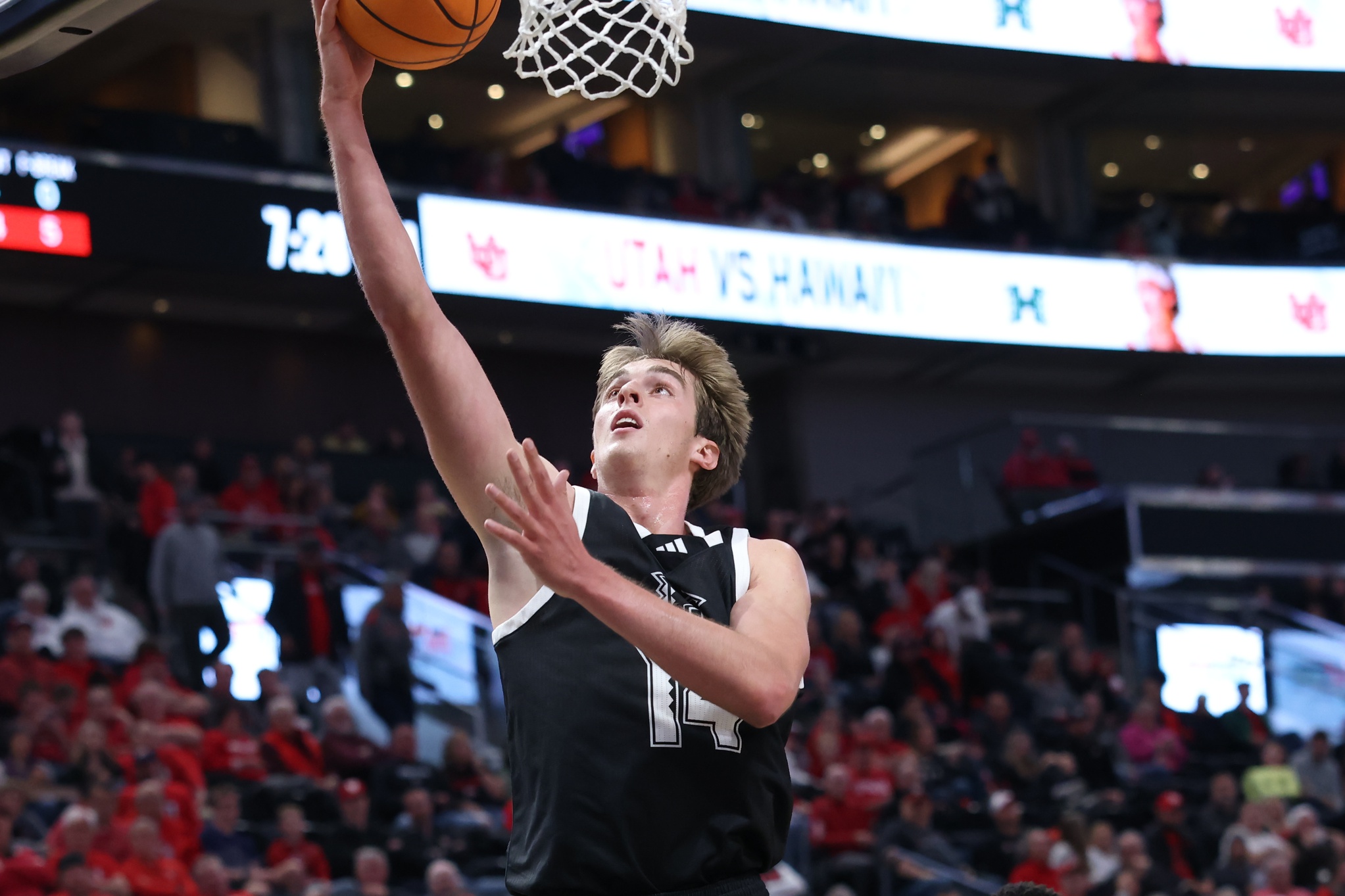 college basketball picks Harry Rouhliadeff Hawaii Warriors predictions best bet odds