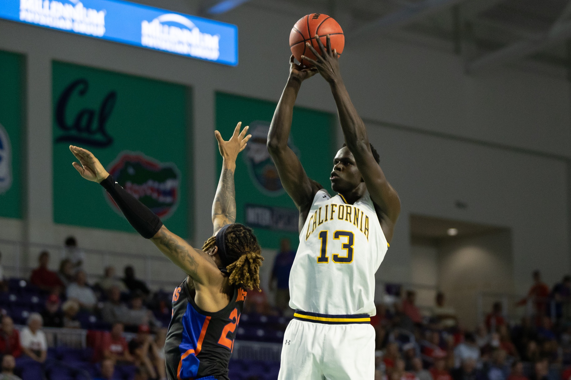 college basketball picks Kuany Kuany California Golden Bears predictions best bet odds