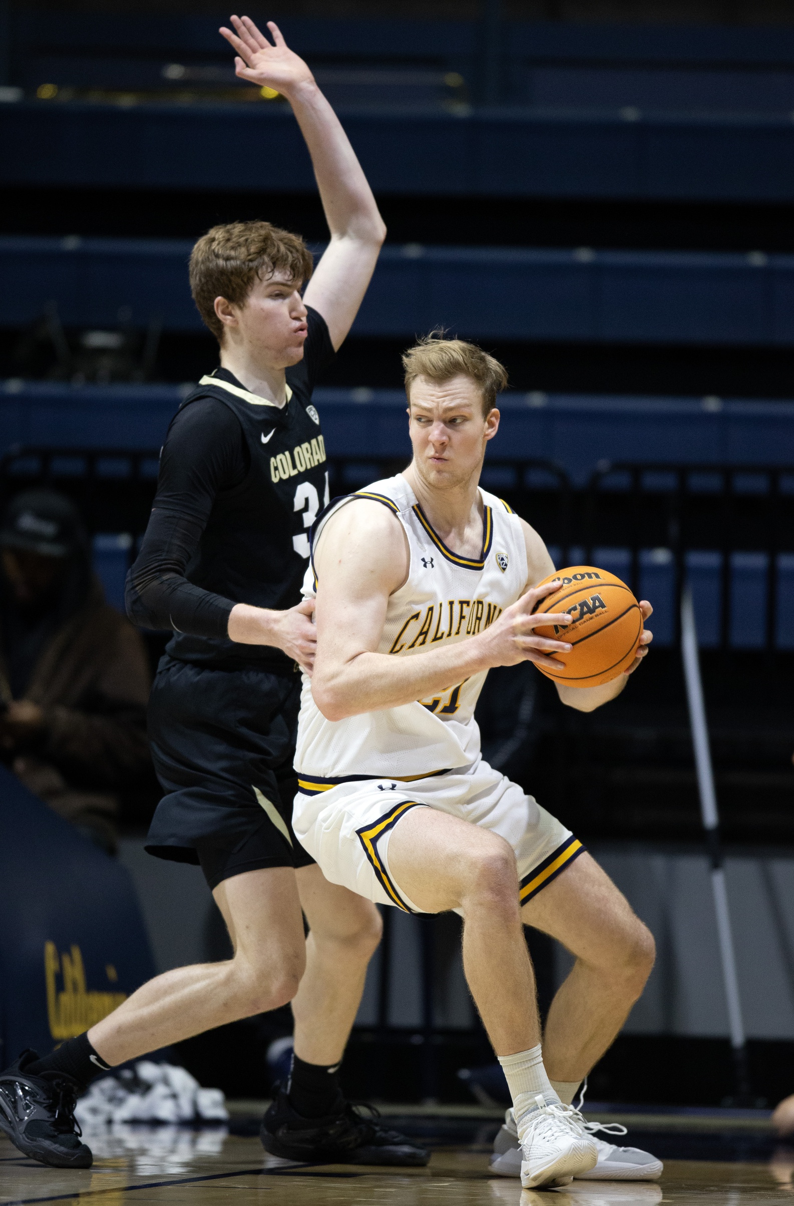 college basketball picks Lars Thiemann California Golden Bears predictions best bet odds
