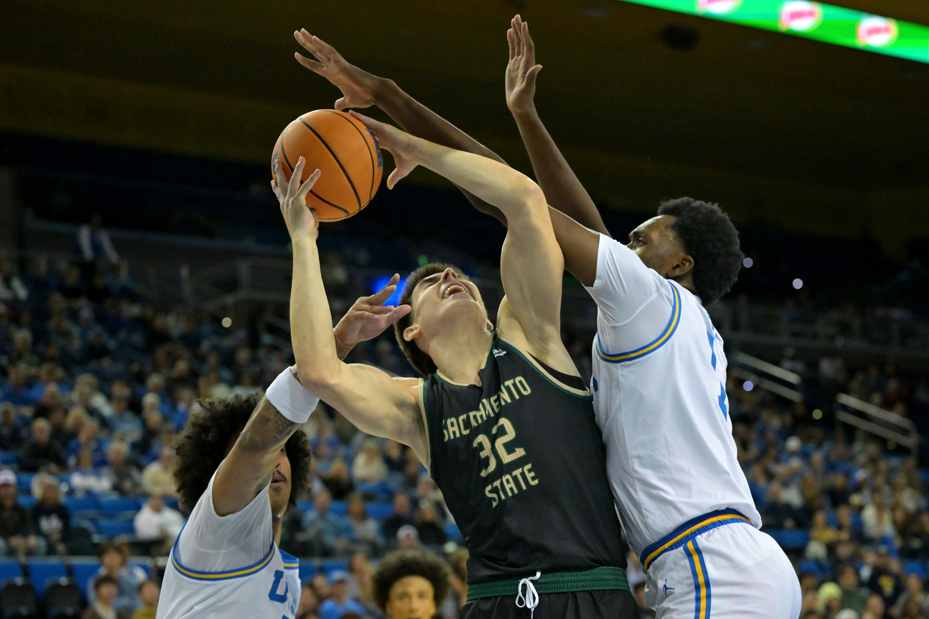 college basketball picks Mark Lavrenov Sacramento State Hornets predictions best bet odds